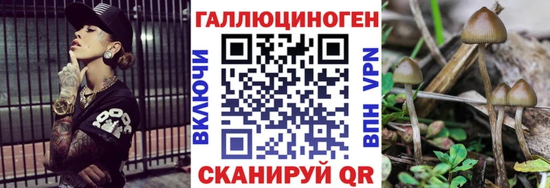 купить наркотик  Алексин  Псилоцибиновые грибы MAGIC MUSHROOMS 